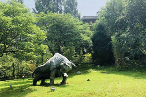 橘郡国际学校（北京校区）校内环境