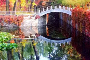 橘郡国际学校（北京校区）人工湖