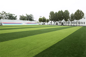 君诚国际双语学校操场