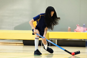 耀华国际教育学校北京亦庄校区冰球场