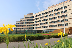 海嘉国际双语学校天津校区校园一角