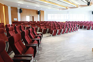 天津美达菲国际学校多功能报告厅