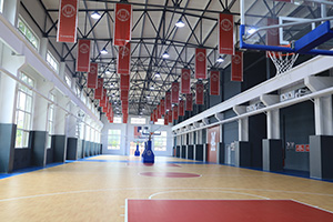 天津美达菲国际学校体育馆