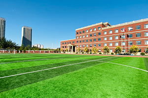 天津美达菲国际学校操场