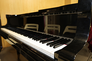 上海美达菲学校钢琴教室