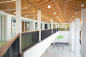 湖州市南太湖双语学校艺术楼大厅