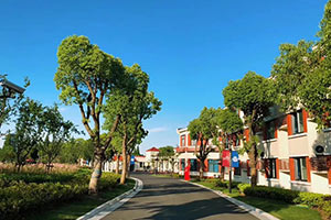 上海宏润博源学校校园小道