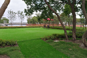 上海宏润博源学校校园