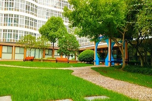 上海澳大利亚国际高中学校环境