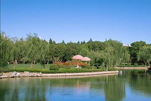 美华学校UIA湖边景色