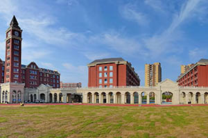 卡迪夫公学平湖学校全景