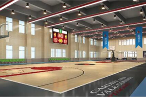 卡迪夫公学平湖学校室内体育馆