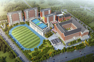 南京威雅学校俯瞰图