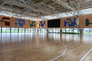 苏州山峰双语学校室内体育馆