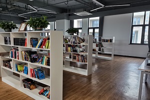 上海高藤致远创新学校阅览室