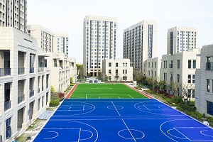 上海高藤致远创新学校操场