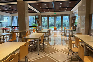 素尼书院香港DSE课程上海校区