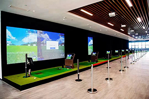 素尼书院香港DSE课程上海校区