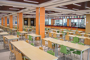 素尼书院香港DSE课程上海校区