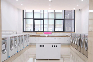 素尼书院香港DSE课程