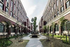 上海建桥国际高中校园环境