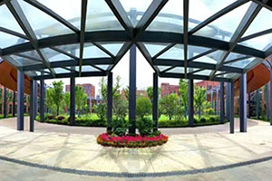 合肥协和双语学校风雨长廊