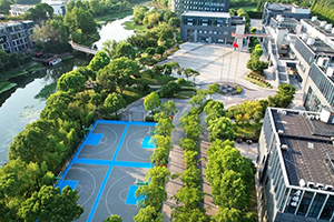 上海林国荣学校俯瞰图