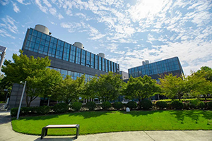 上海林国荣学校校园环境