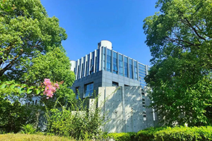 上海林国荣学校校园一角