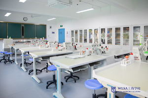 WLSA上海学校实验室