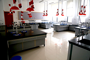 北大附属嘉兴实验学校化学实验室