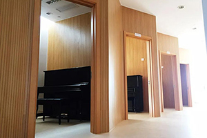 北大附属嘉兴实验学校钢琴房