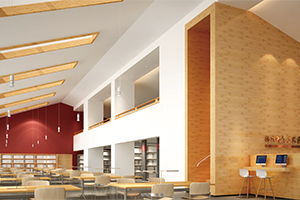 北大附属嘉兴实验学校行政楼图书馆