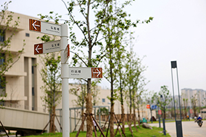 江苏省靖江高级中学国际部校园一角