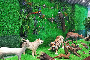 常州市平陵高级中学双语班展览室