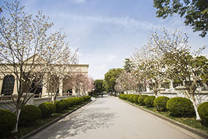 互惠生学院校园风景