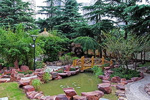 西南位育中学国际部校园环境