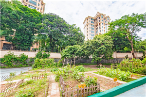 加拿达外国语学校生态园