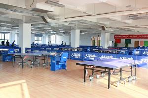 深圳道尔顿新华公学乒乓球馆