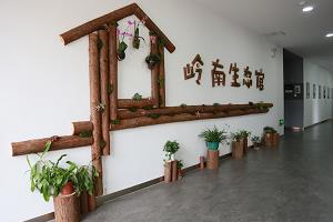 深圳道尔顿新华公学博物廊