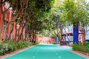 深圳市博纳学校校道