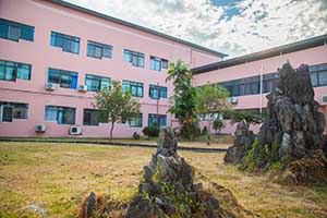 雷纳森英豪国际学院假山