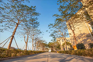 北京师范大学珠海分校附属外国语学校国际部校园内