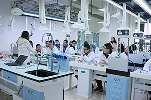 弘益剑桥国际高中实验课