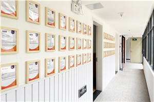 精英知了国际书院OFFER墙