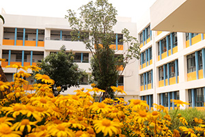 昆明世青学校校园