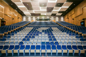 武汉爱莎学校千人剧院