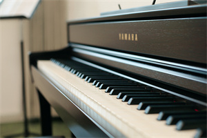 广州博萃德学校piano