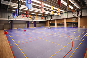 珠海横琴哈罗礼德学校运动场