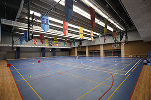 珠海横琴哈罗礼德学校室内体育馆